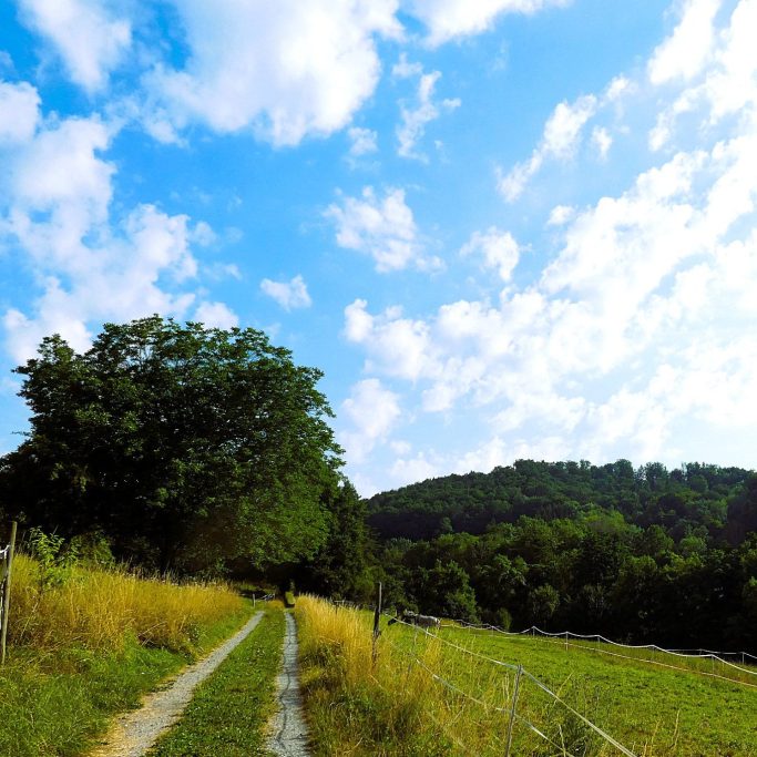 Felder und Weg hinter dem Haus