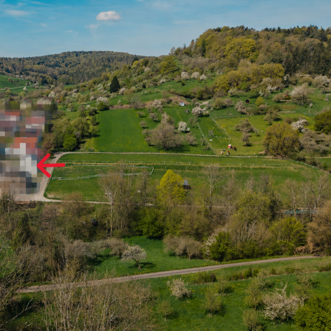 Felder und Weg hinter dem Haus Felder und Weg hinter dem Haus
